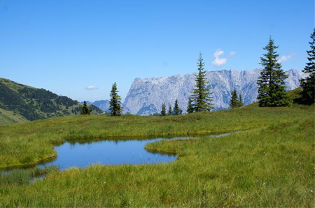 hochkoenig_sommer_bergwelt