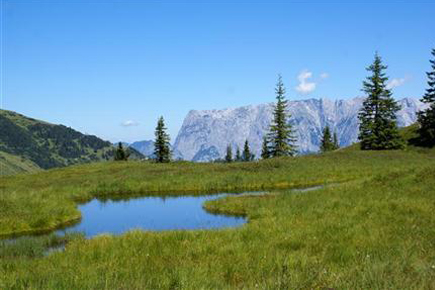 hochkoenig_sommer_bergwelt