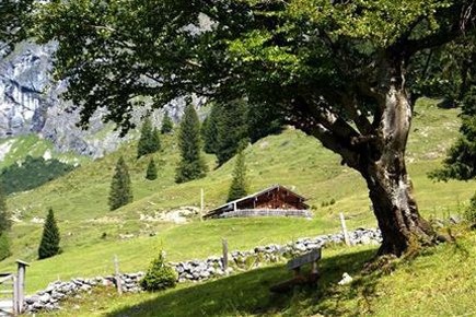 hochkoenig_sommer_bergwelt